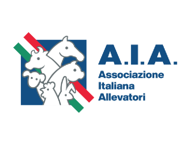 A.I.A.